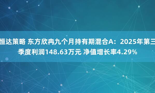恒达策略 东方欣冉九个月持有期混合A：2025年第三季度利润148.63万元 净值增长率4.29%