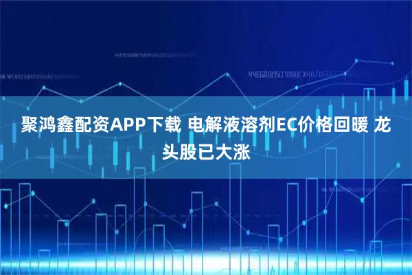 聚鸿鑫配资APP下载 电解液溶剂EC价格回暖 龙头股已大涨