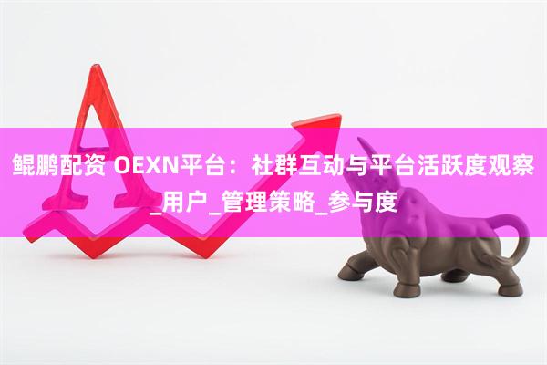 鲲鹏配资 OEXN平台：社群互动与平台活跃度观察_用户_管理策略_参与度