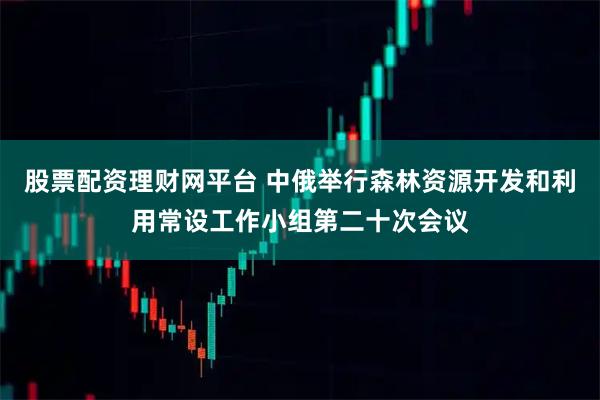 股票配资理财网平台 中俄举行森林资源开发和利用常设工作小组第二十次会议