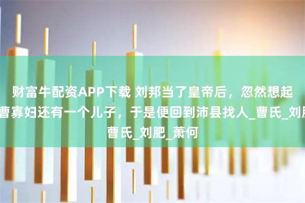 财富牛配资APP下载 刘邦当了皇帝后，忽然想起自己和曹寡妇还有一个儿子，于是便回到沛县找人_曹氏_刘肥_萧何